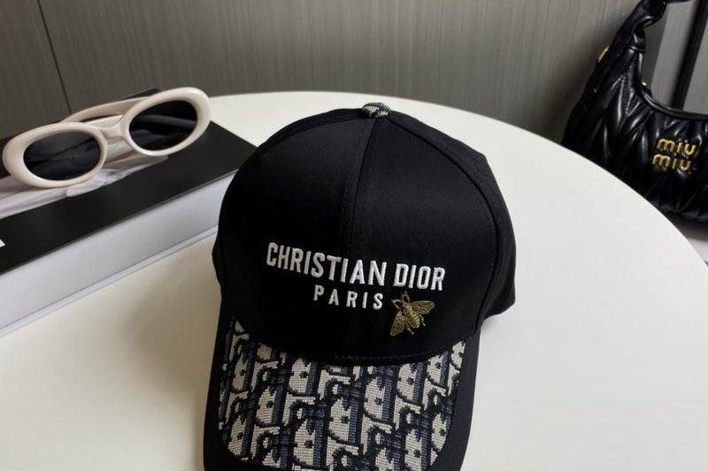Replica Dior cap 081001