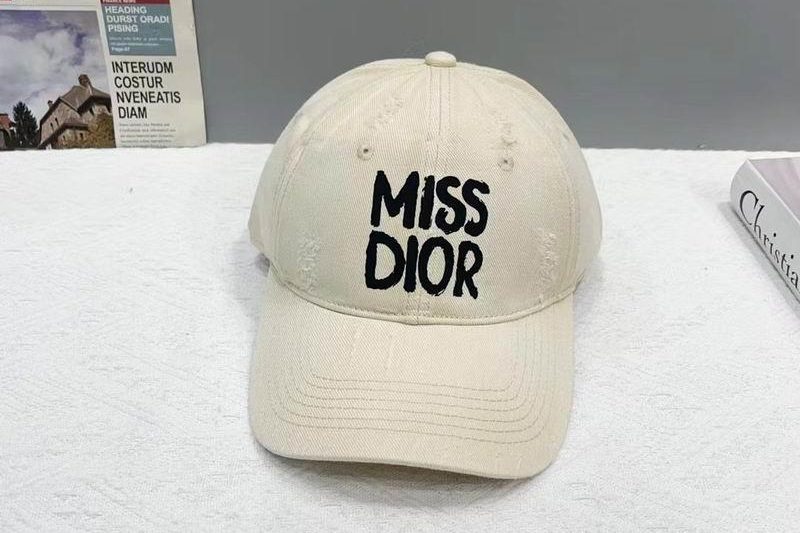 Replica Dior cap 080103