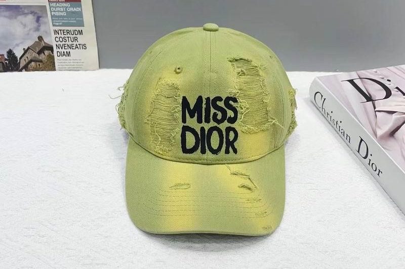 Replica Dior cap 080102