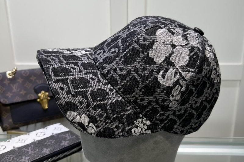 Replica Dior cap dx29