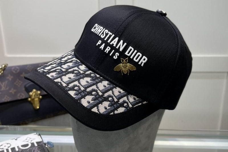 Replica Dior cap 042702
