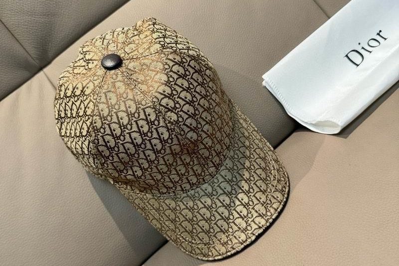 Replica Dior cap dx67