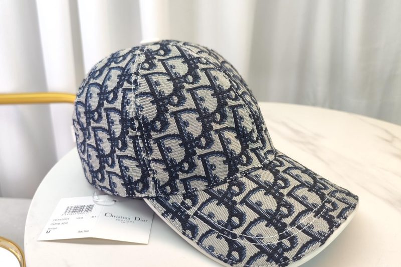 Replica Dior Cap dxn05