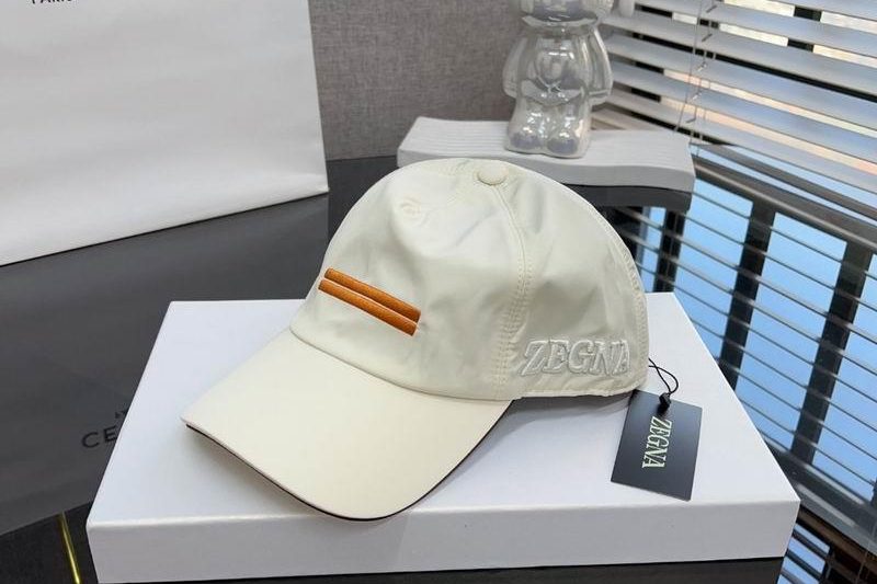 Replica Zegna cap dx03