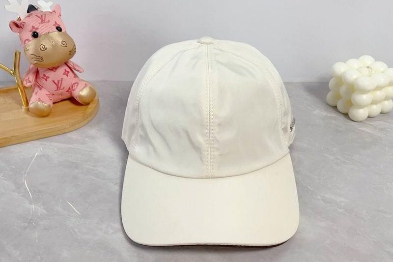Replica Zegna cap dx01
