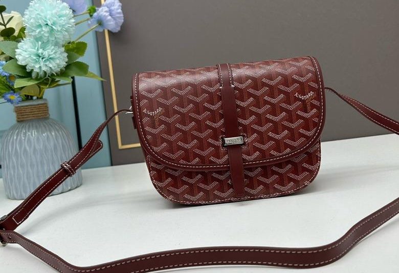 Cheap Goyard Bags Goyard 22x15x6.5cm ss9