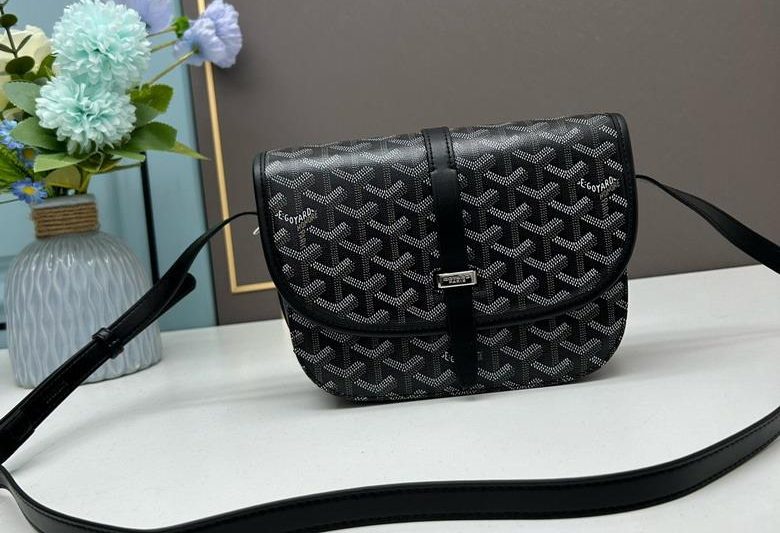 Cheap Goyard Bags Goyard 22x15x6.5cm ss8