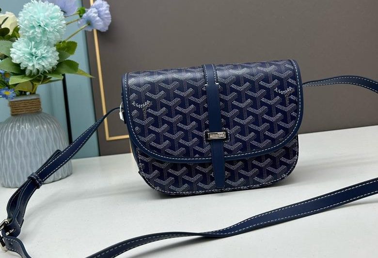 Cheap Goyard Bags Goyard 22x15x6.5cm ss7