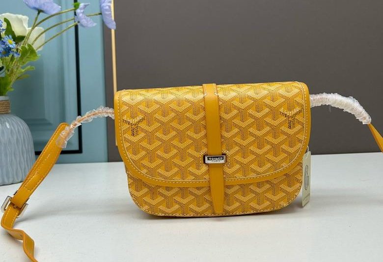 Cheap Goyard Bags Goyard 22x15x6.5cm ss1