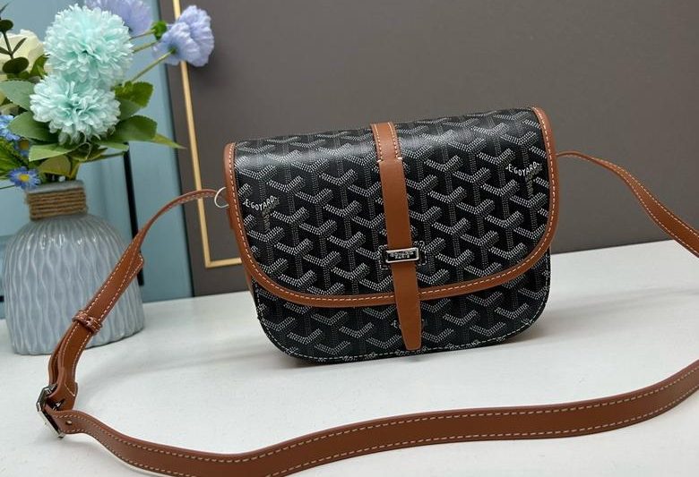 Cheap Goyard Bags Goyard 22x15x6.5cm ss6