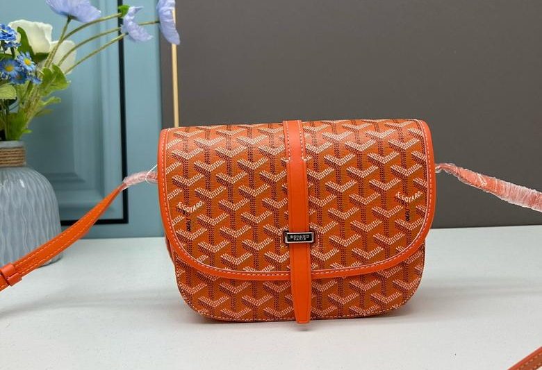Cheap Goyard Bags Goyard 22x15x6.5cm ss4