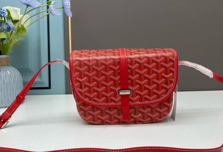 Cheap Goyard Bags Goyard 22x15x6.5cm ss