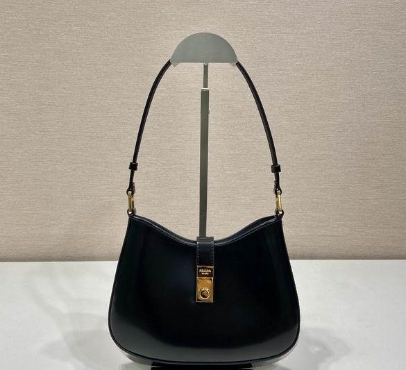 Replica Prada Bags 1BC169 22X18.5X4.5cm WP 2colour