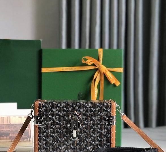 Cheap Goyard Bags cassette 21X15X6.5cm 060402 JHJ 8