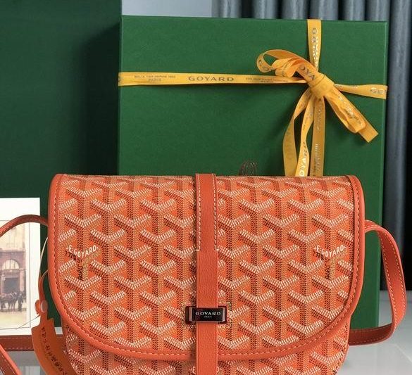 Cheap Goyard Bags Belvédère 020198-1 21X16X6cm JHJ 11