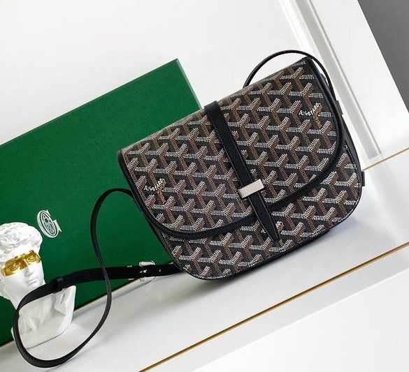 Cheap Goyard Bags 22X16X7cm 112910 YG 10