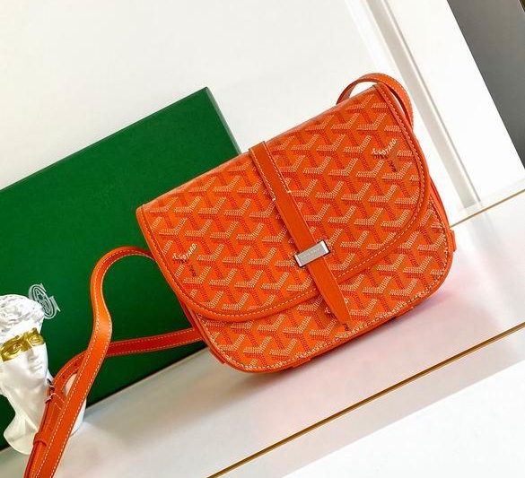 Cheap Goyard Bags 22X16X7cm 112910 YG 7