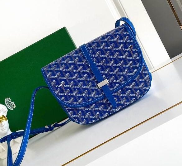 Cheap Goyard Bags 22X16X7cm 112910 YG 6