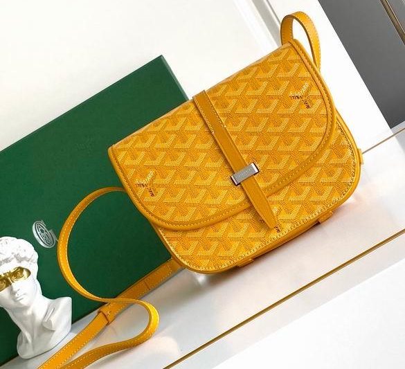 Cheap Goyard Bags 22X16X7cm 112910 YG 4
