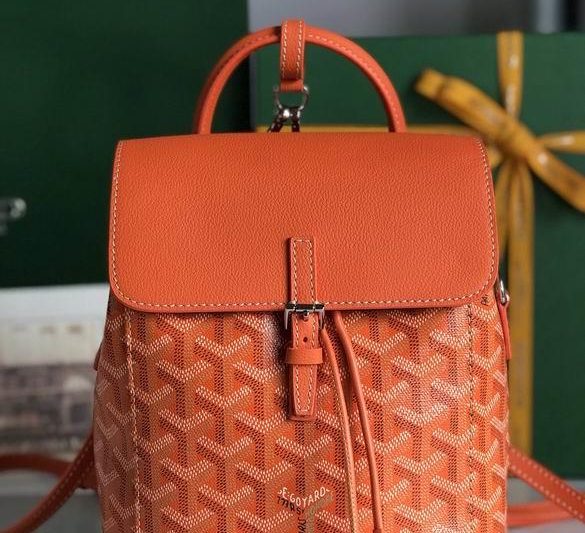 Cheap Goyard Bags 18.5X21.5X8.5cm 042307 JHJ 5