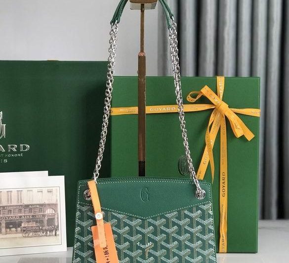 Cheap Goyard Bags 020234 21X15X6.5cm JHJ 4