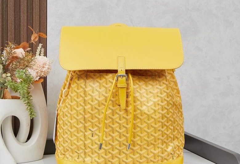 Cheap Goyard Bags 2389 33X33X15cm XMY 3