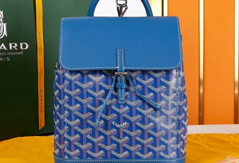 Cheap Goyard Bags 19X9.5X23cm 031106 YG 5