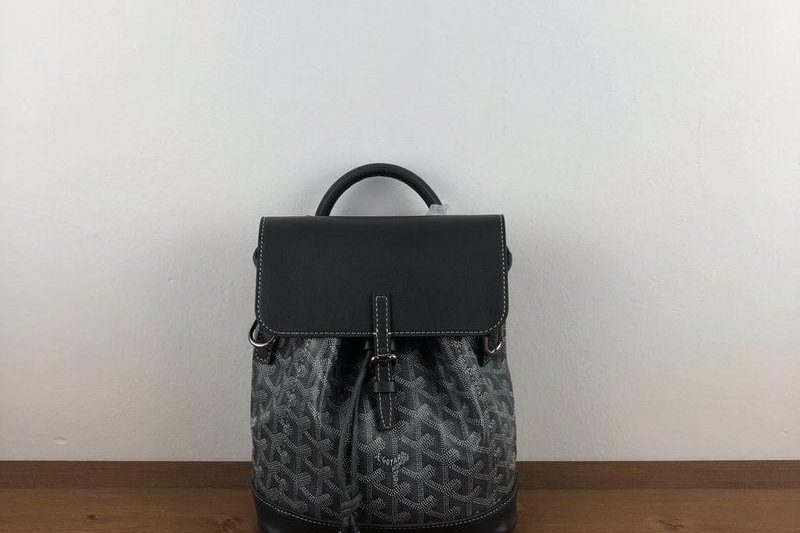 Cheap Goyard Bags GY Alpin 8.5X18.5X21.5 CM-6
