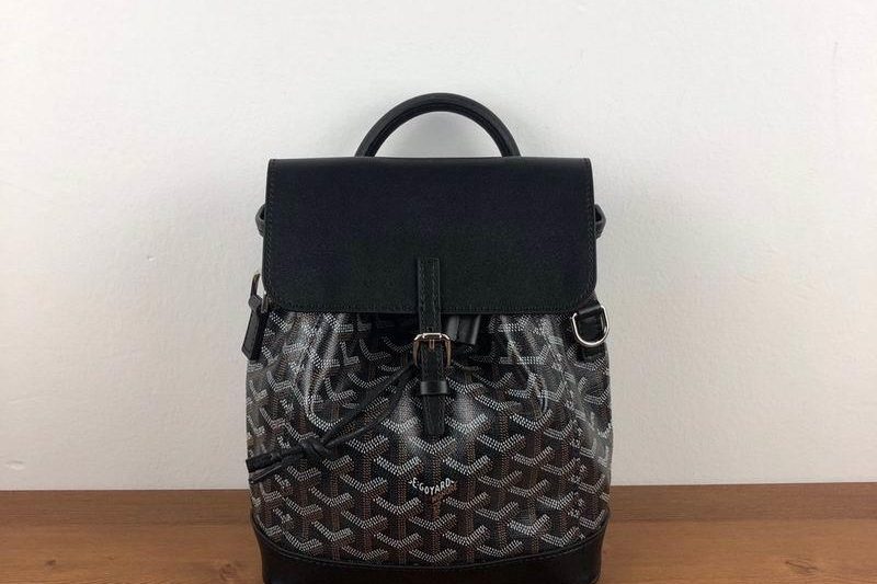 Cheap Goyard Bags GY Alpin 8.5X18.5X21.5 CM-5