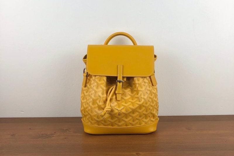 Cheap Goyard Bags GY Alpin 8.5X18.5X21.5 CM-2