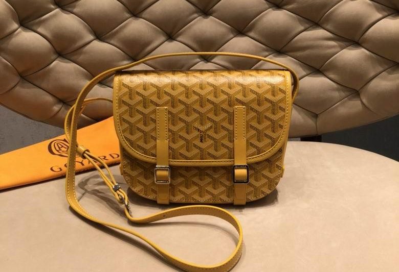 Cheap Goyard Bags 22X17X7.5cm 081502 YT 4