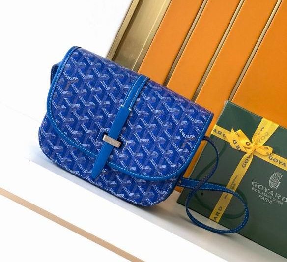 Cheap Goyard Bags 8015 22X7X16cm WP 7