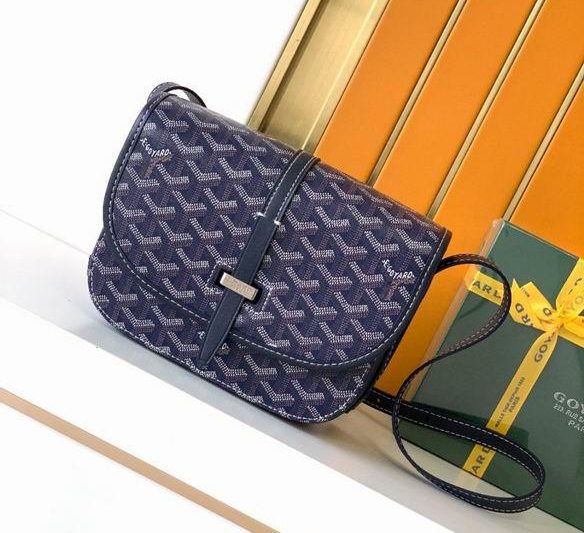 Cheap Goyard Bags 8015 22X7X16cm WP 4