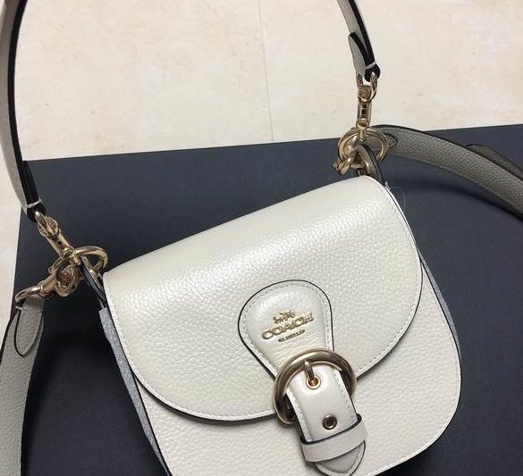 Replica Coach Bags BHC5685 17X16X7