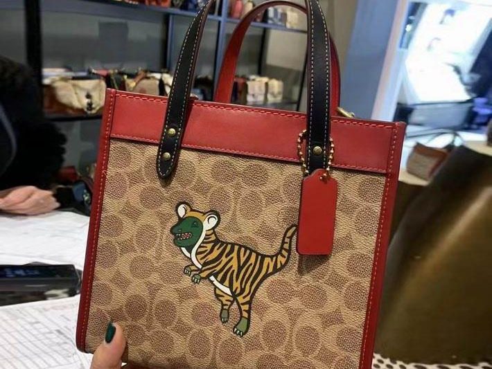 Replica Coach Bags c7767 22X21X12cm JH