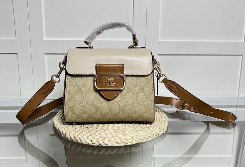 Replica Coach Bags 21X16X10.5cm 041016 AZ