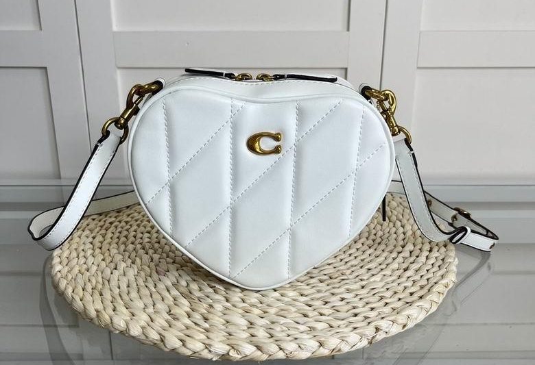 Replica Coach Bags CE725 19X16.5X5.5cm AZ 4