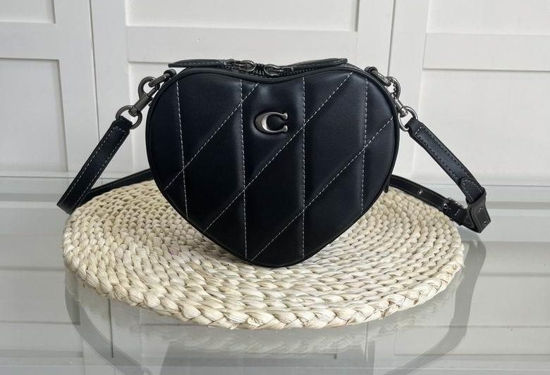 Replica Coach Bags CE725 19X16.5X5.5cm AZ 1