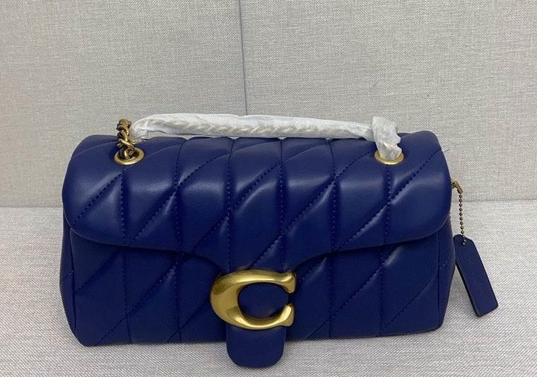 Replica Coach Bags CP150 CP147 26X15cm AZ 8