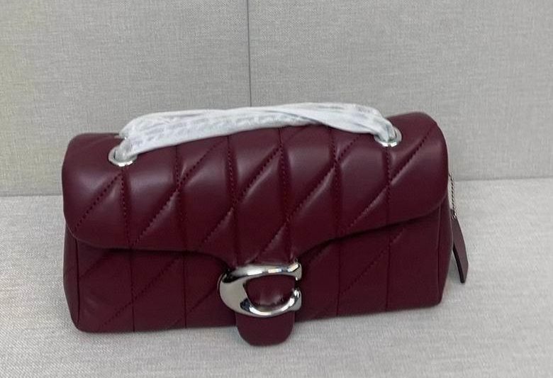 Replica Coach Bags CP150 CP147 26X15cm AZ 7