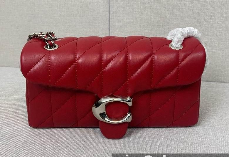 Replica Coach Bags CP150 CP147 26X15cm AZ 6