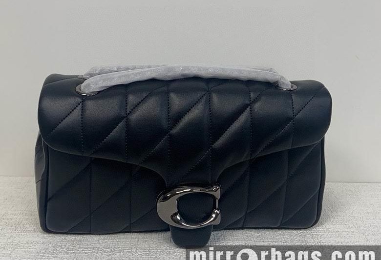 Replica Coach Bags CP150 CP147 26X15cm AZ 5