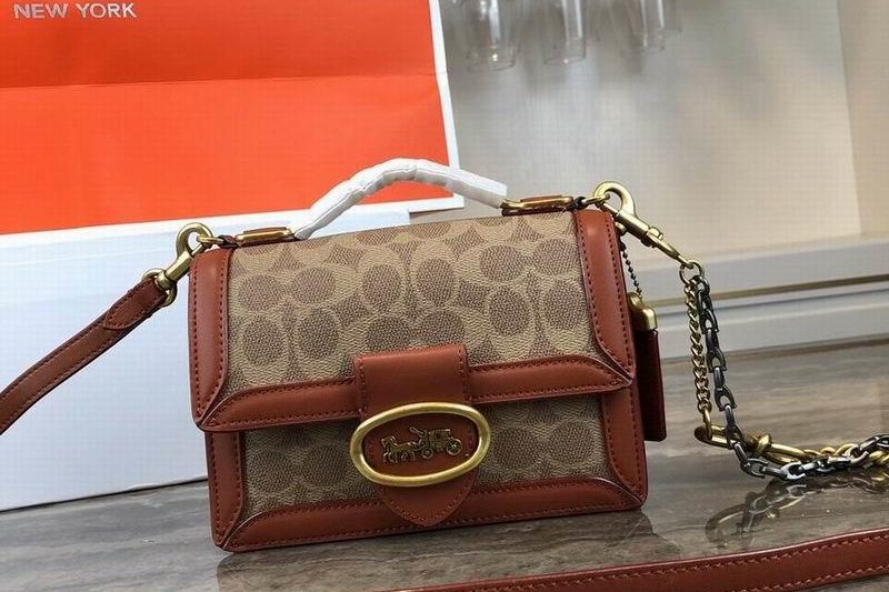 Replica Coach Bags TT61259 brown skin