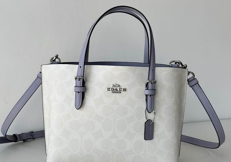 Replica Coach Bags C4250 25X19X12.5cm AZ 5