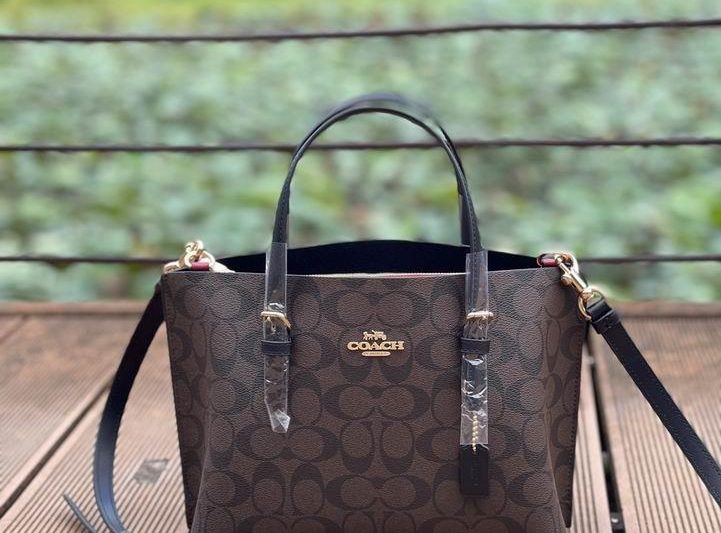Replica Coach Bags C4250 25X19X12.5cm AZ 2
