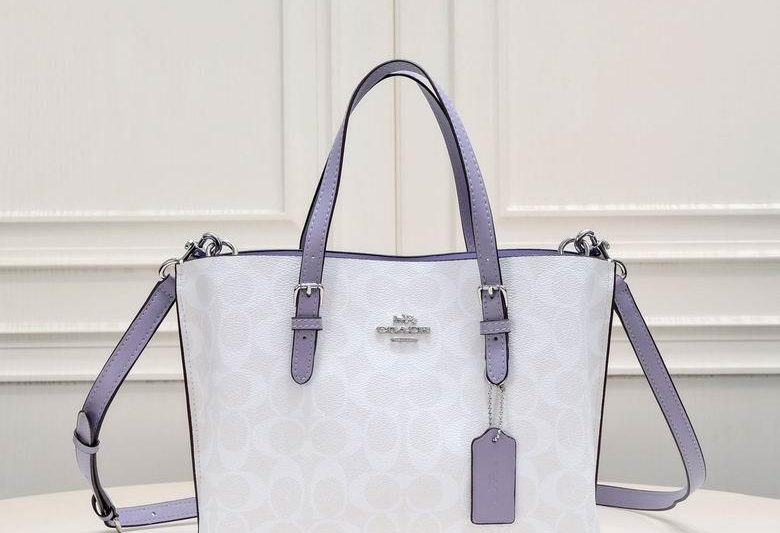 Replica Coach Bags c4250 25X19X12cm XM 5