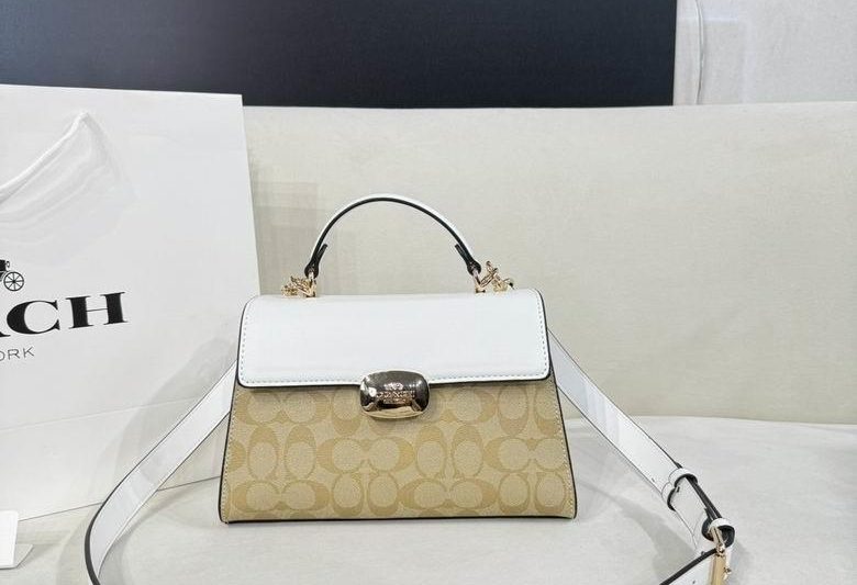 Replica Coach Bags 27X17cm 060311 XMY 1