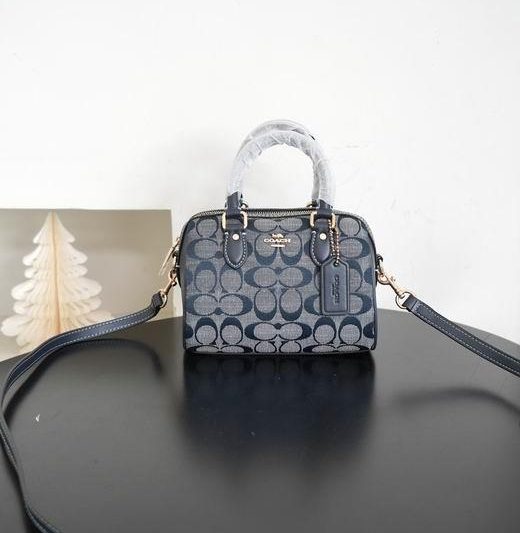 Replica Coach Bags 041405 AZ 3