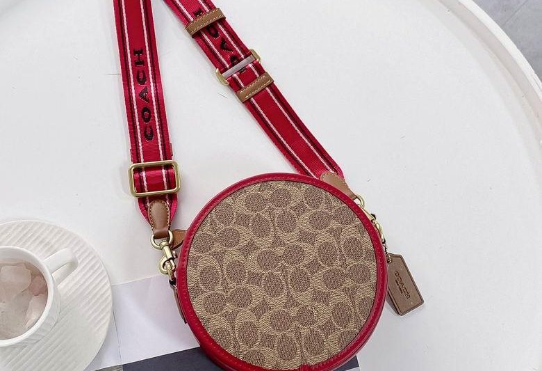 Replica Coach Bags C6998 CA098 18X18X6.5cm DN 3