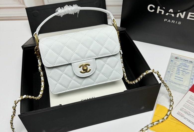 1:1 Replica Chanel Bags 33816 19X12X8cm XMY 4colour